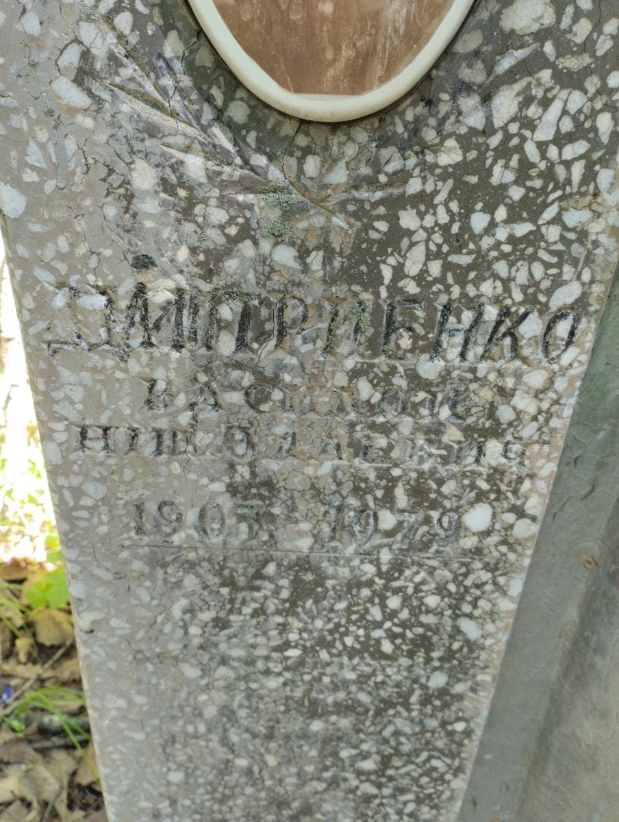 0c9bd887-3907-4775-91e3-c84401c28468 Дмитриенко Василий Николаевич