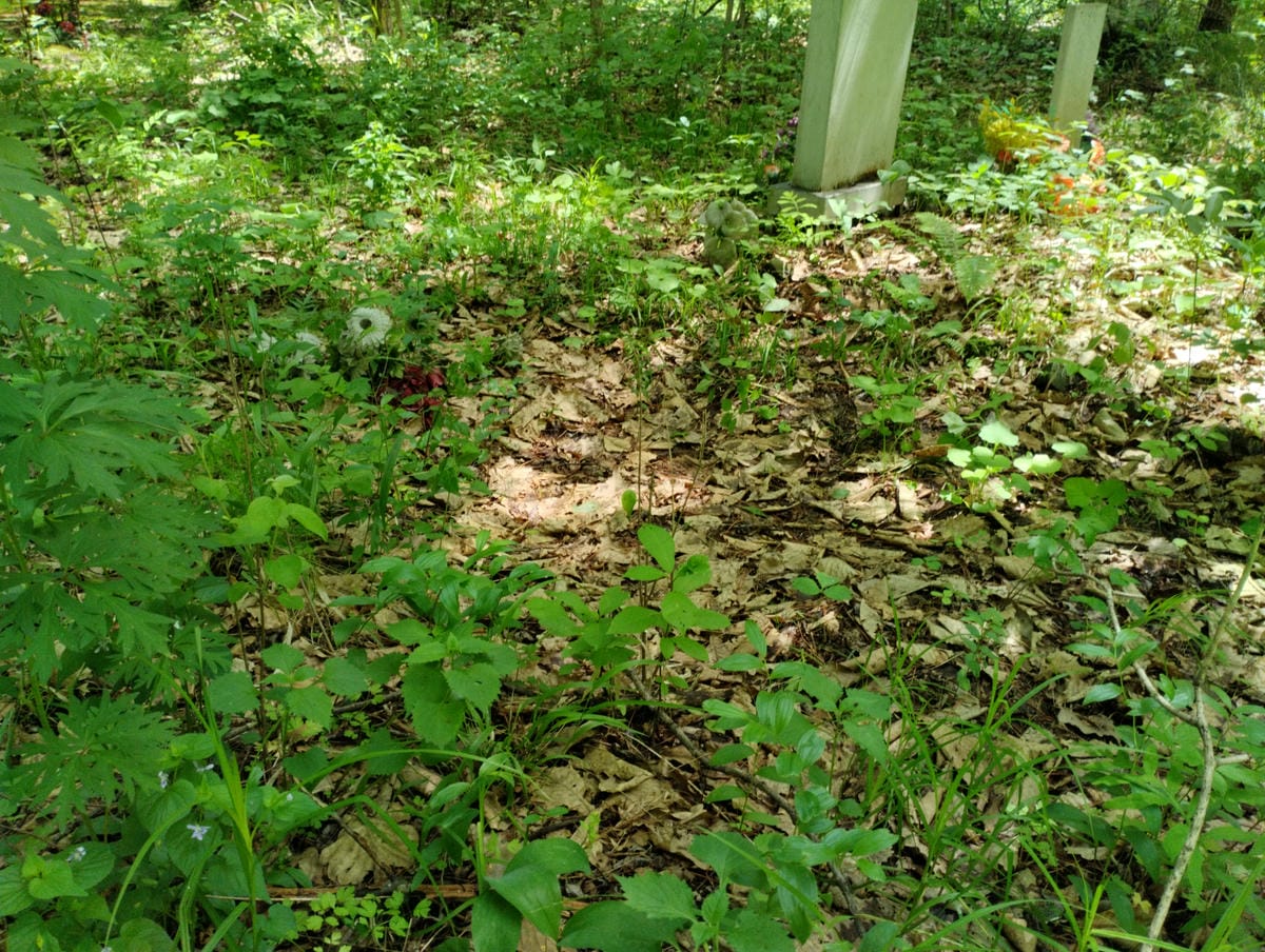 Неизвестно Неизвестно Неизвестно