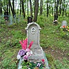 Жорник Николай Яковлевич