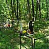 Клещ Дмитрий Кириллович