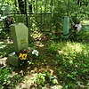Усенко Андрей Петрович