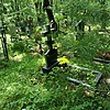 Александрова Евдокия Ивановна