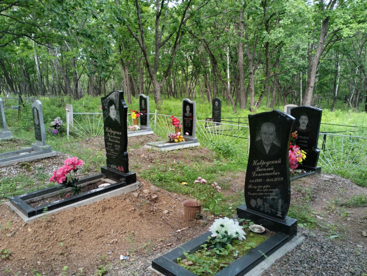 Навродский Василий Дементьевич