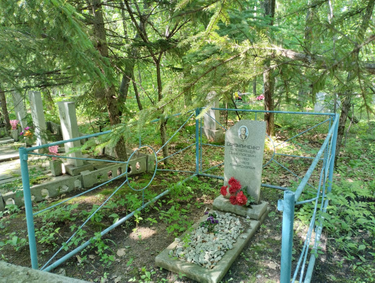 2111ef81-33ed-49fd-816b-76dc1ae15a0f Самойличенко Александр Николаевич