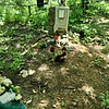 Ильющенко Наталья Анатольевна