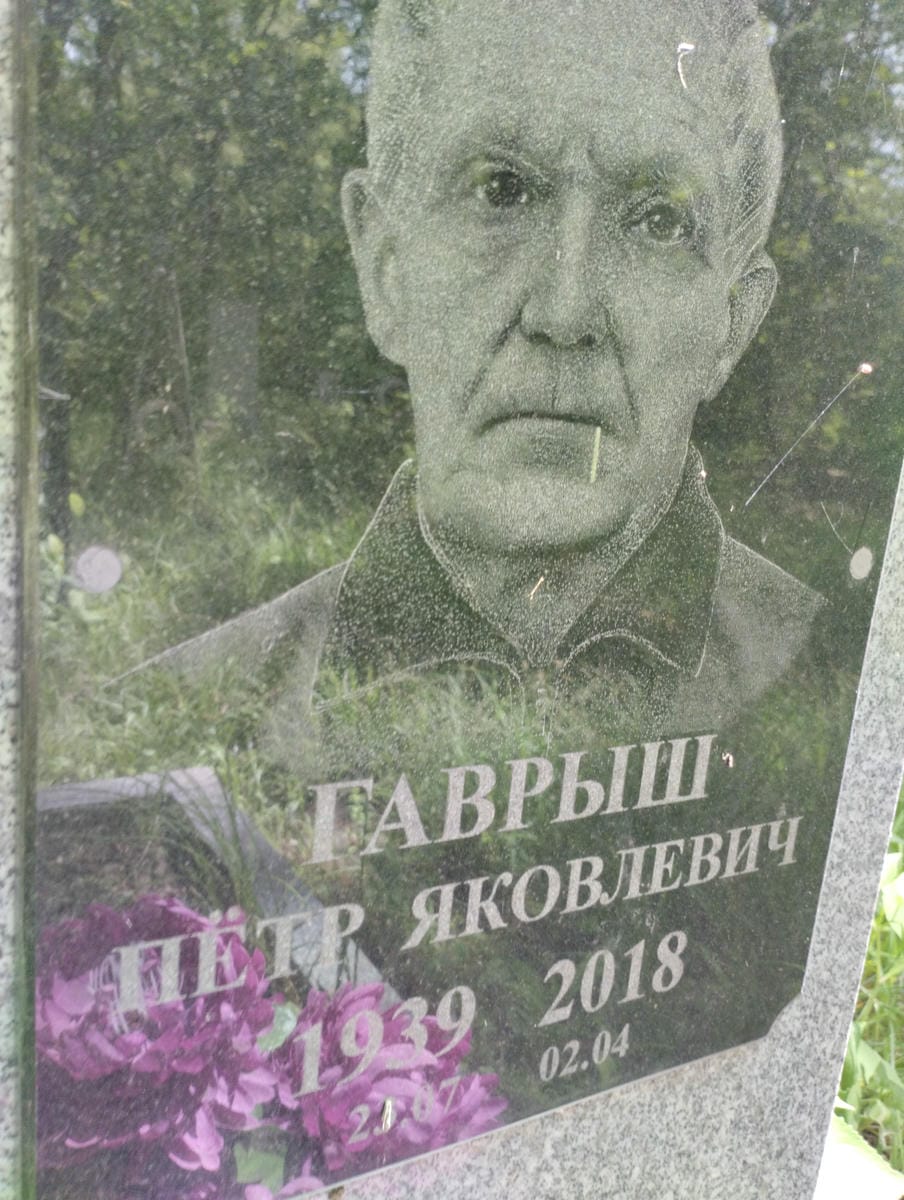 228f290b-8f1f-4267-9490-b8b86b064ed9 Гаврыш Петр Яковлевич