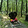 Сомов Иван Евгеньевич