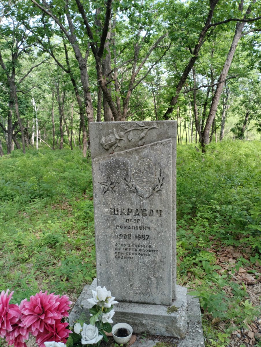 240c1414-7ee4-4b07-872d-2aedb548d3c9 Шкрабач Петр Романович