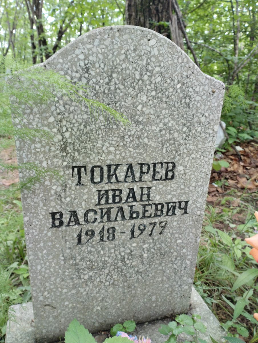 242ca606-dd3e-4368-aa32-a2db271c097f Токарев Иван Васильевич