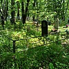 Дмитренко Мария Герасимовна