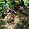 Сальников Владимир Яковлевич