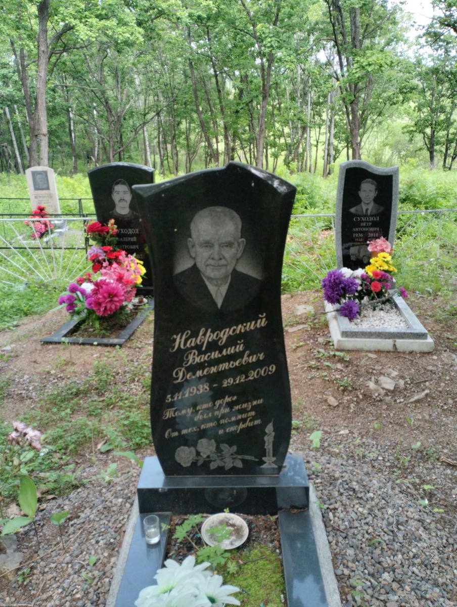 Навродский Василий Дементьевич