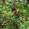Высоцкий Геннадий Петрович