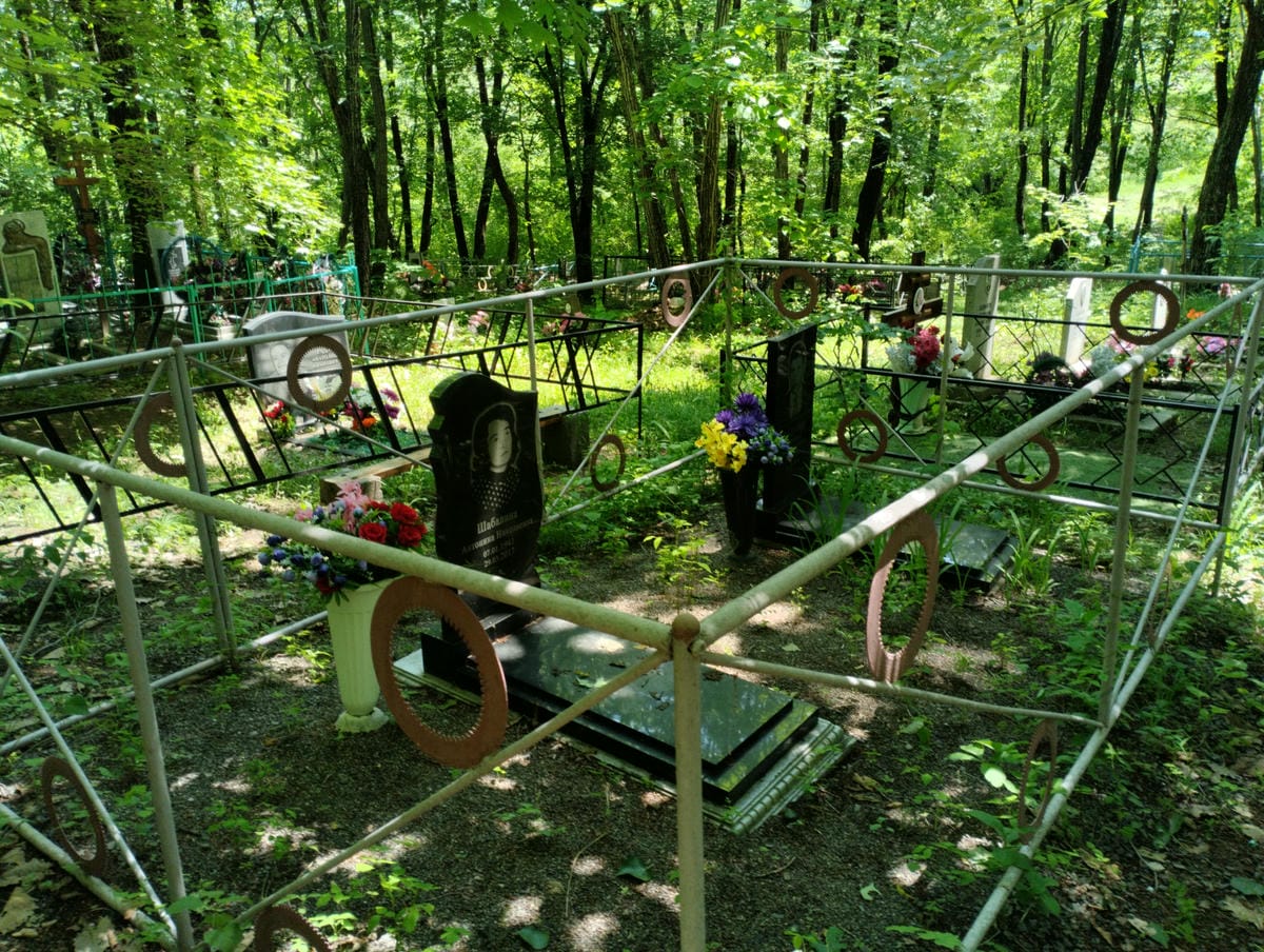 298d0d19-c2c6-477e-a784-465d9d4dd598 Шабалин Николай Григорьевич