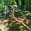 Рыжкова Наталья Андреевна