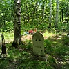 Бондарь Надежда Прохоровна
