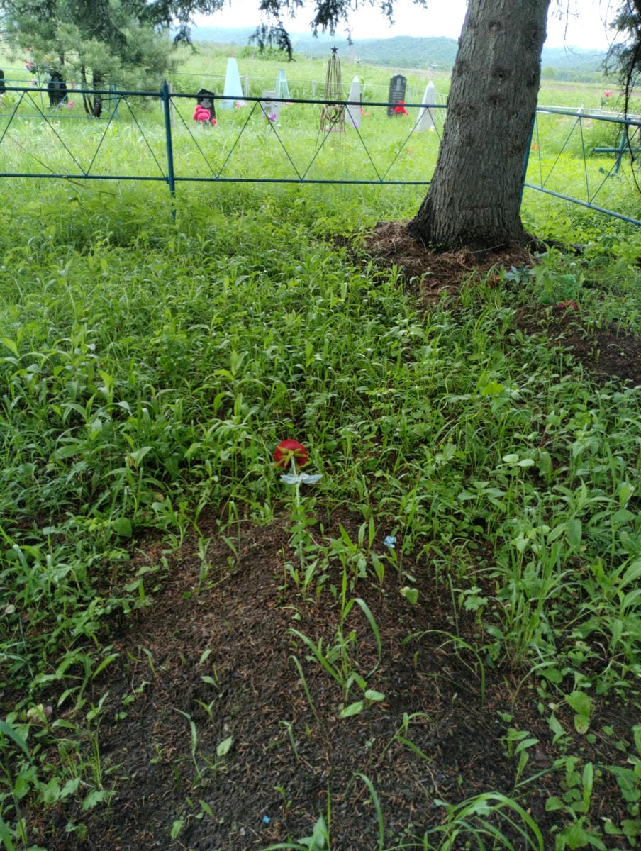 Неизвестно Неизвестно Неизвестно