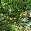 Фефелов Демьян Михайлович