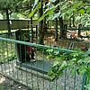 Смолянский Николай Гаврилович