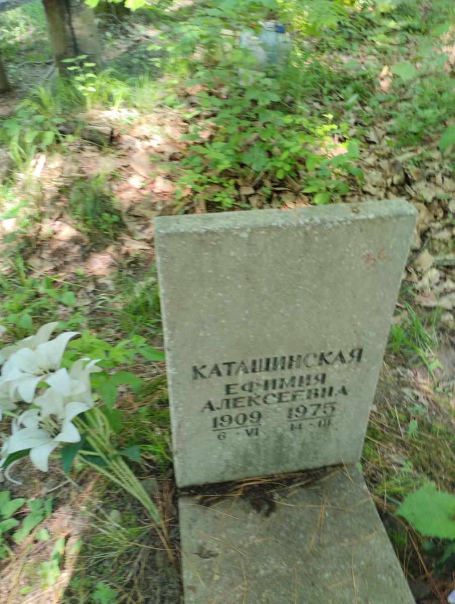 3b66ccc4-7027-47d3-8a9c-1eb3b42911ce Каташинская Ефимия Алексеевна