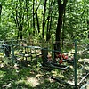 Пономарчук Мария Алексеевна
