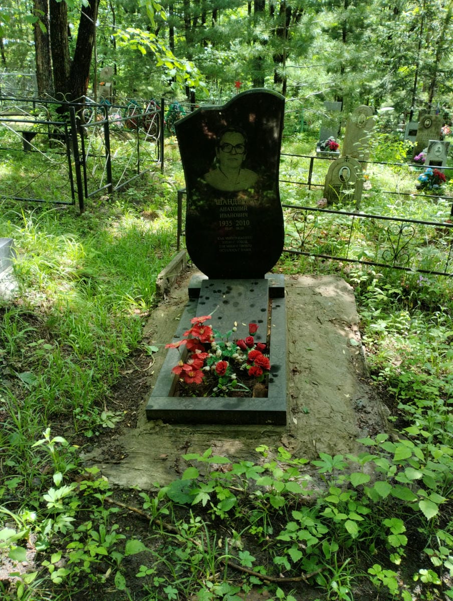 427e8b9c-2dc5-4562-9cc3-e0f83dc11c63 Шандрук Анатолий Иванович