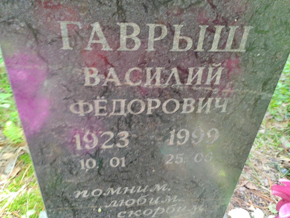 43afcdb2-2eda-4566-a5f8-4c80b5d5ff88 Гаврыш Василий Федорович