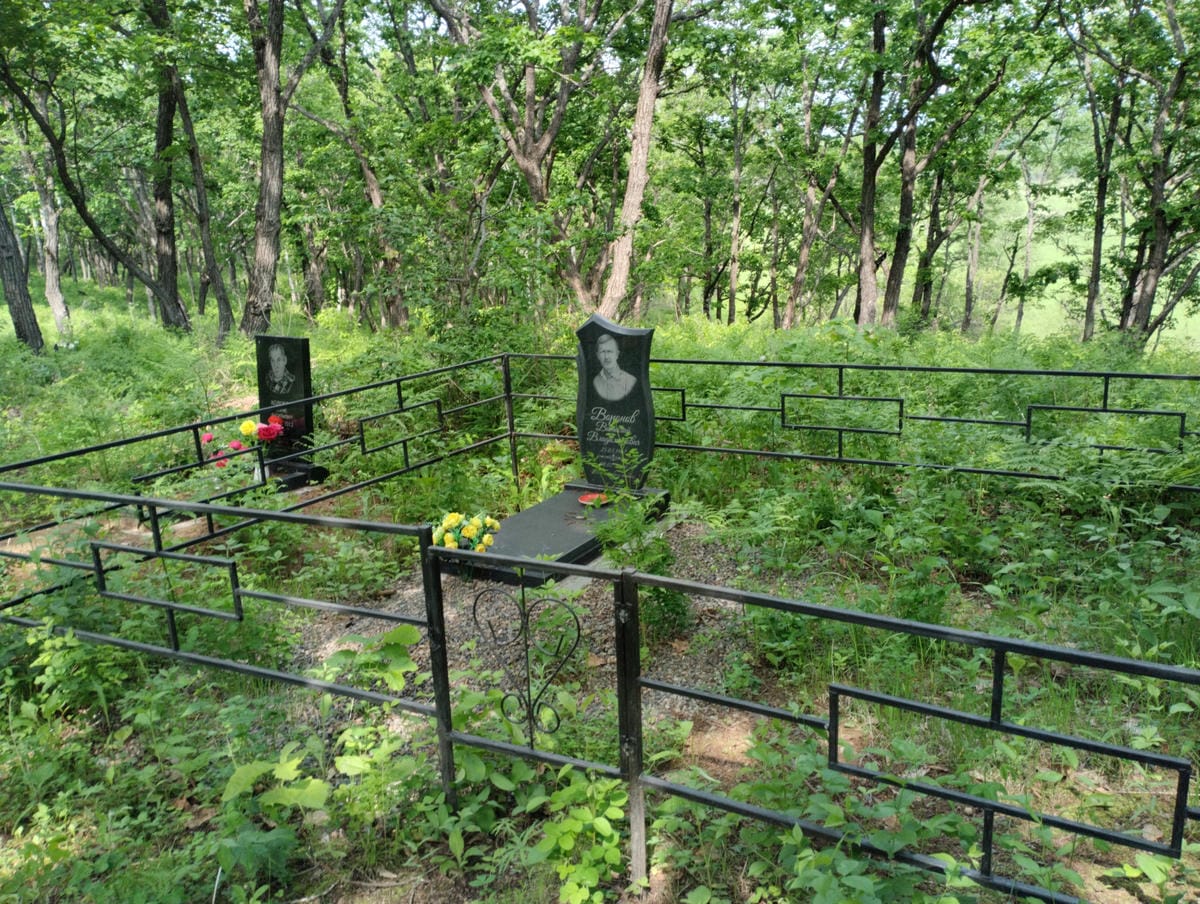 450bc836-f802-470f-bd3c-d2d5b1743a96 Воронов Виталий Владимирович