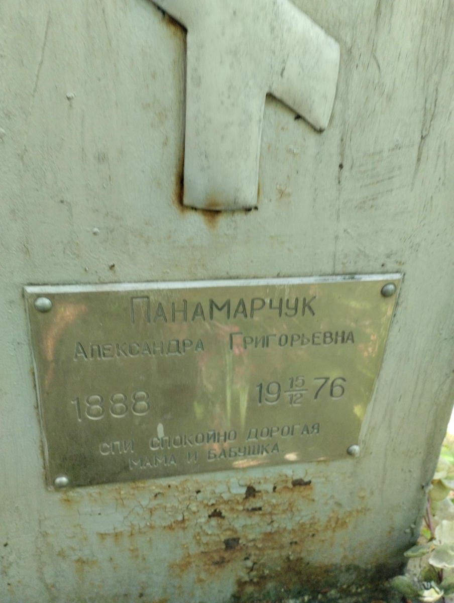 493b0928-9798-411f-85f3-5ed3b8e2b004 Панамарчук Александра Григорьевна