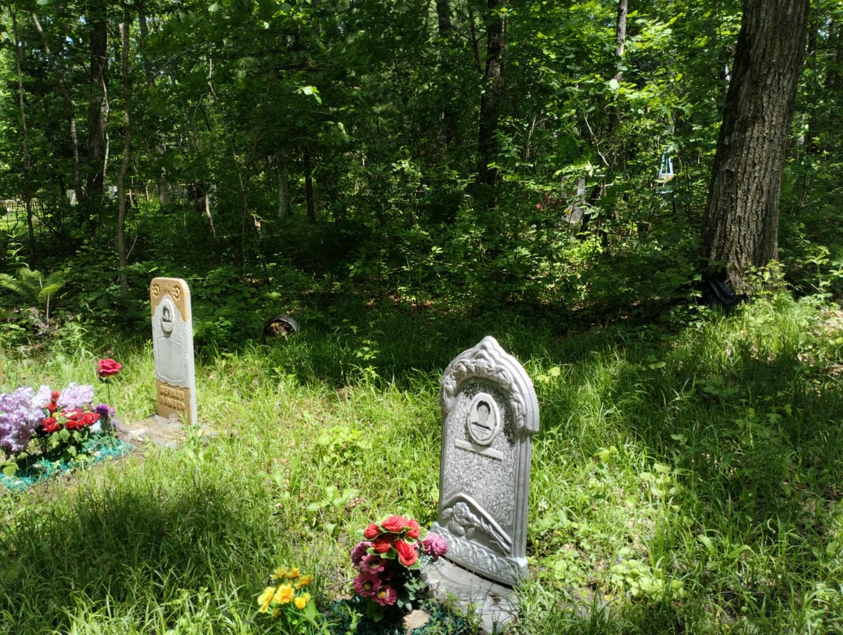 Чекирда Наталья Дмитриевна