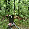 Каранский Антон Кириллович