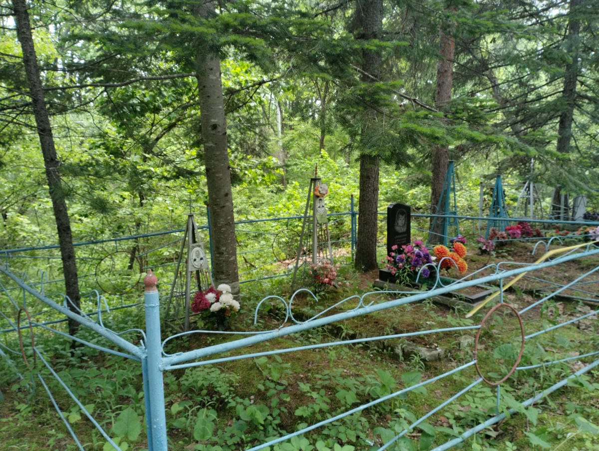 Замаенко Анатолий Николаевич