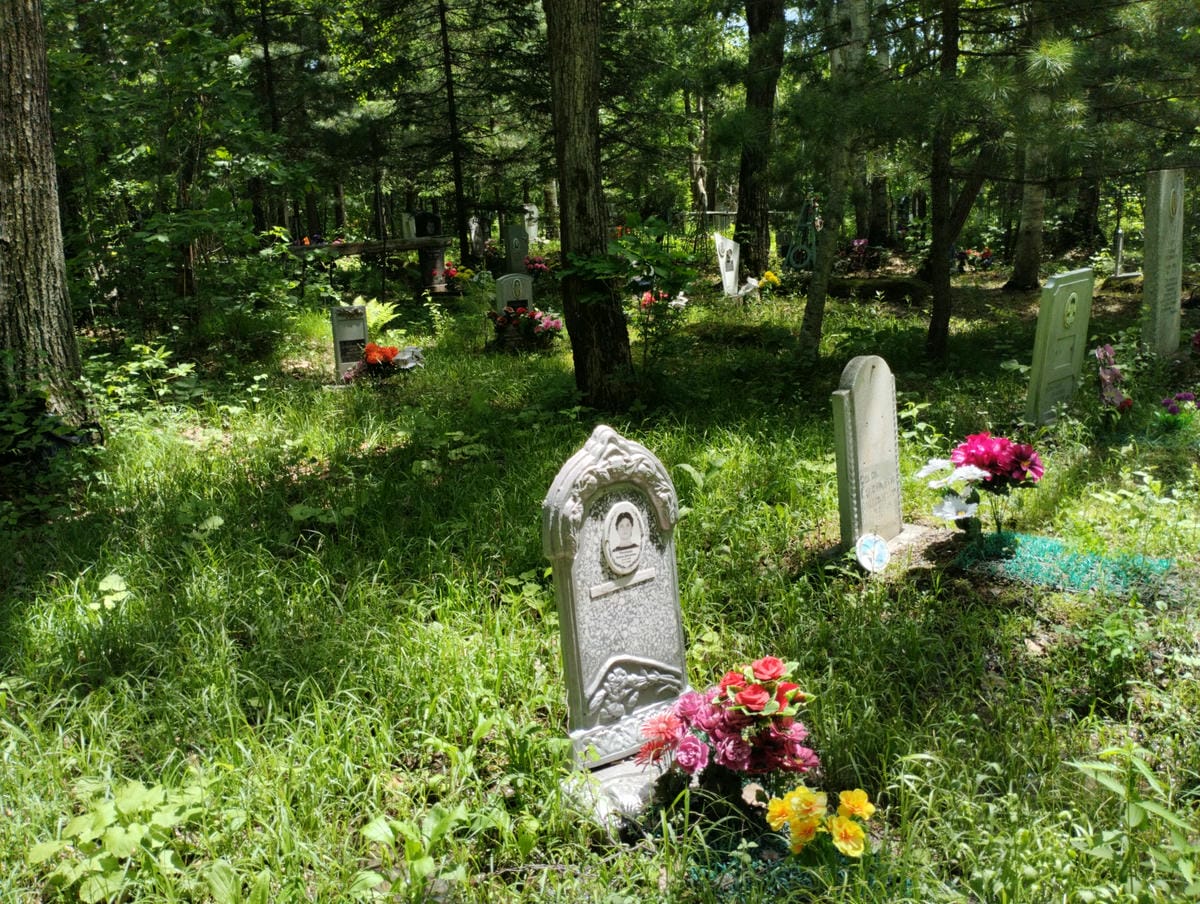 Чекирда Наталья Дмитриевна