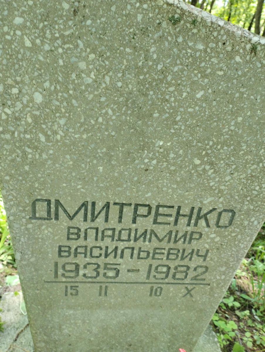 53faae59-4409-46a4-8b04-7332a2263a41 Дмитриенко Владимир Васильевич