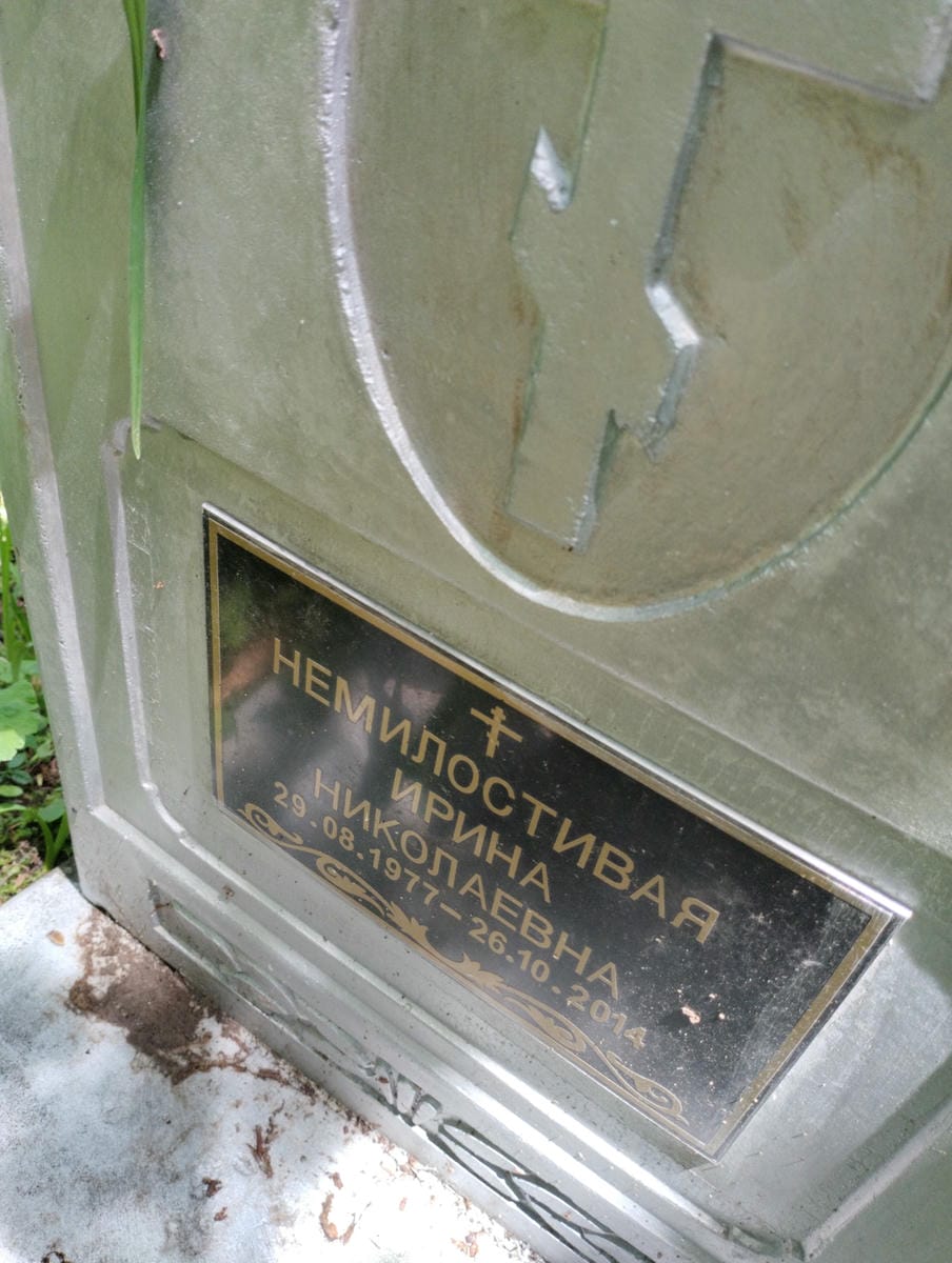55f8e241-eda5-404a-b863-f1d8d8e5081b Немилостивая Ирина Николаевна