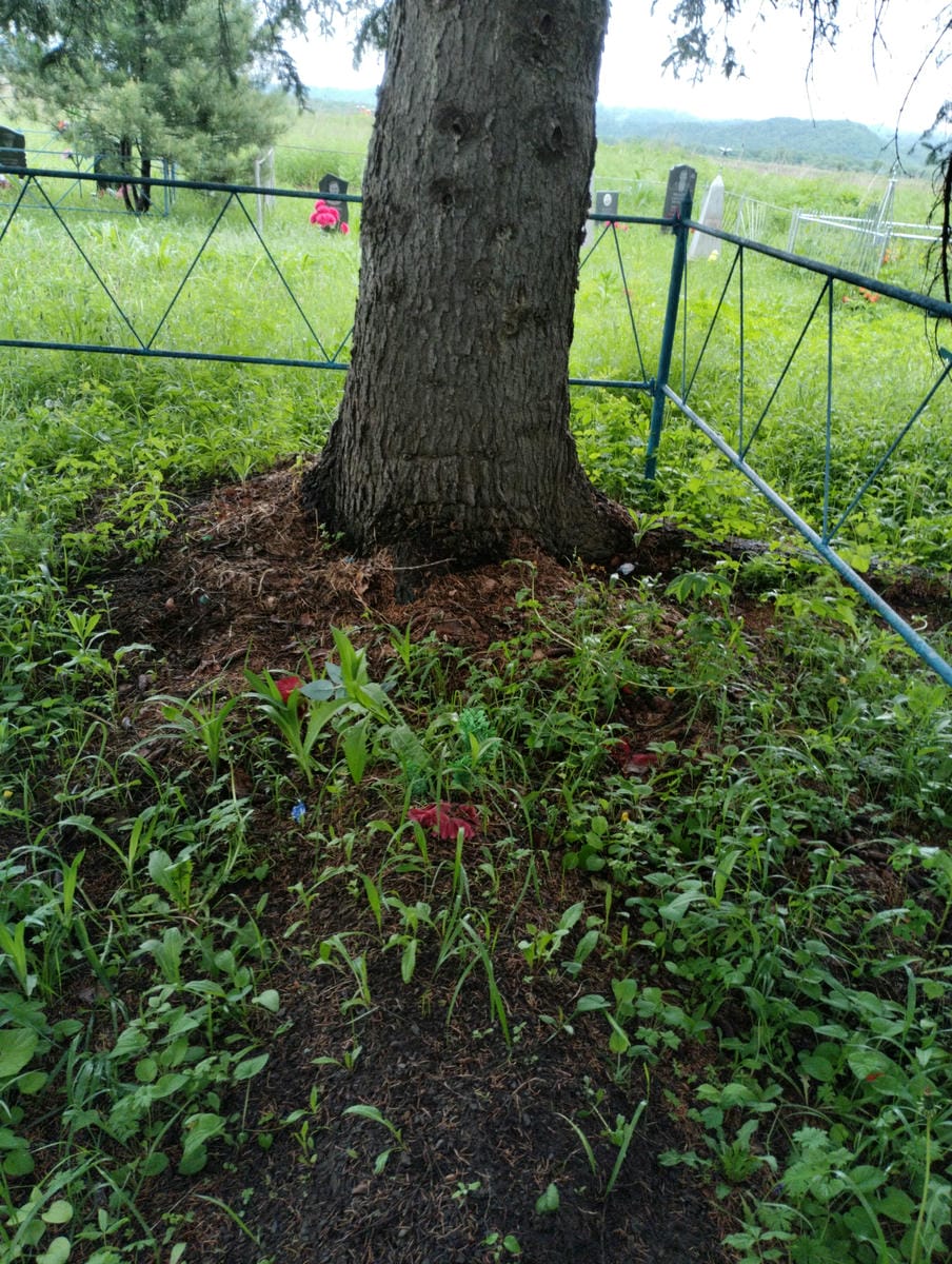 Неизвестно Неизвестно Неизвестно