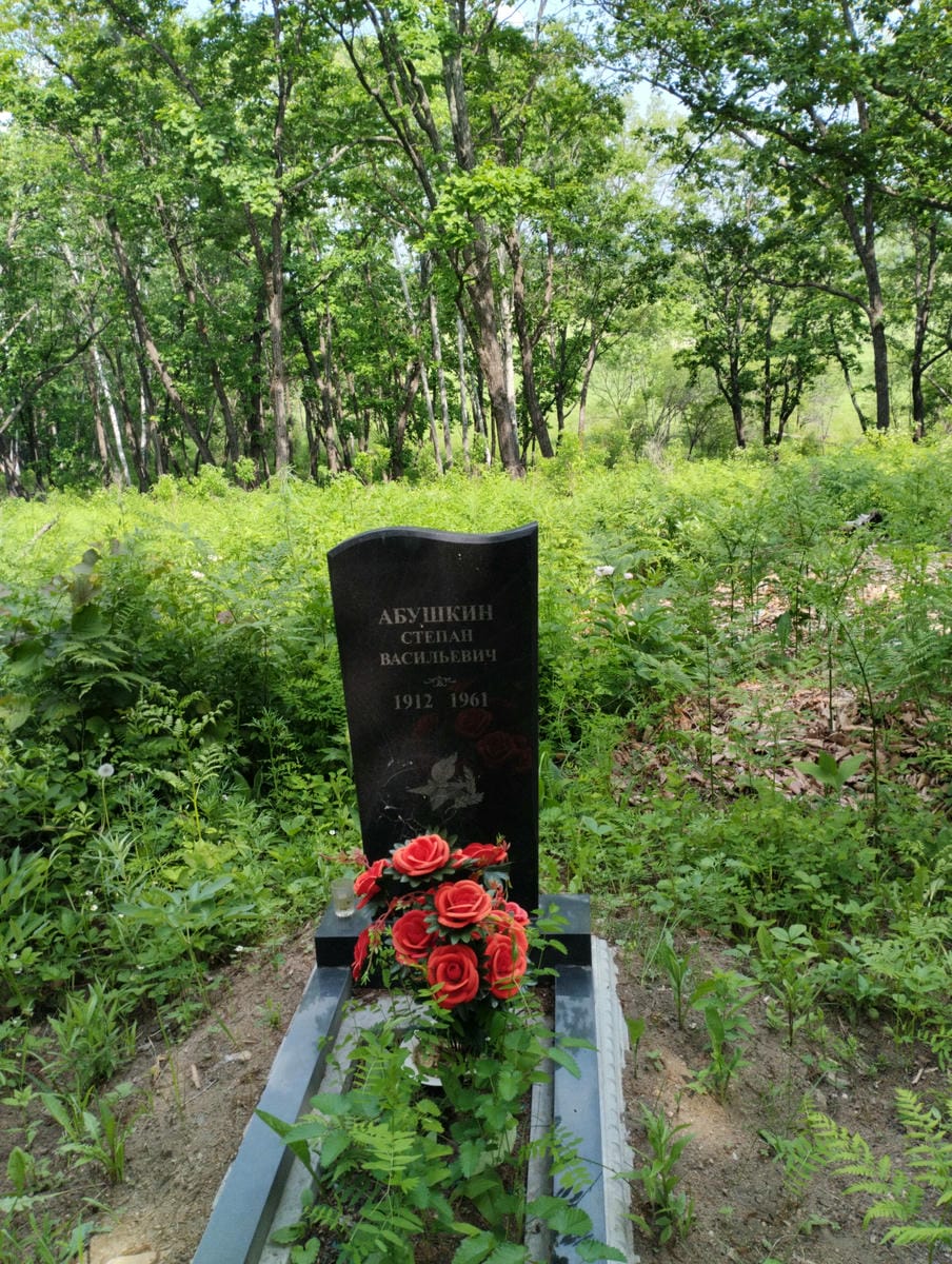 5b138477-cf32-47d1-bc93-7ea2f808b618 Абушкин Степан Васильевич
