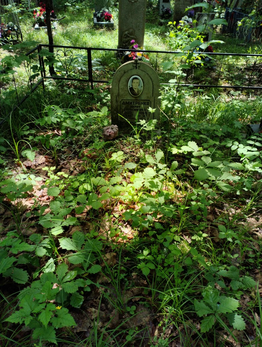 5c30c326-d42a-406d-84b0-59db41736c98 Дмитренко Мария Герасимовна