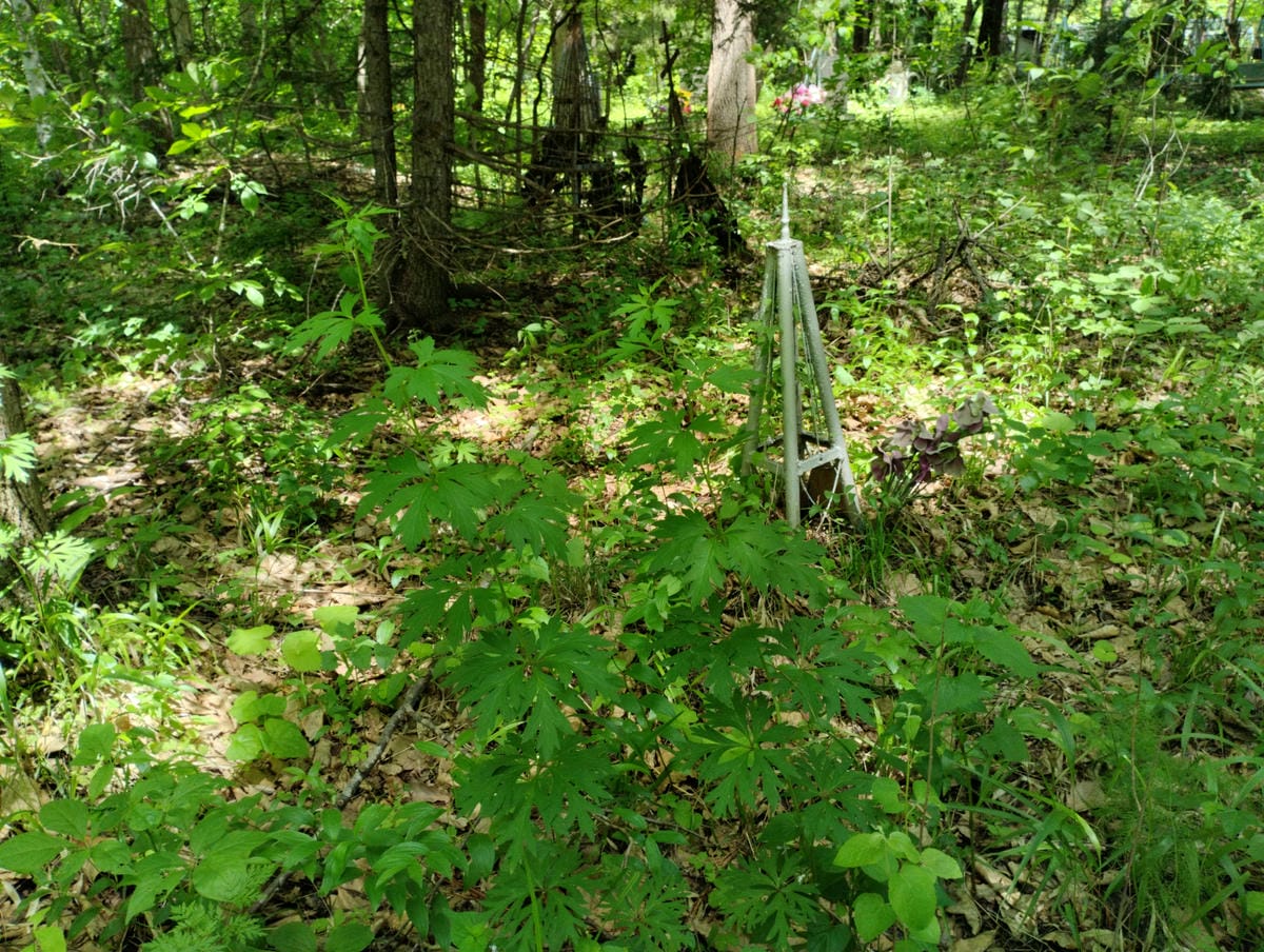 Неизвестно Неизвестно Неизвестно