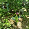 Макиевский Александр Антонович