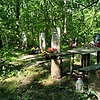 Король Михаил Петрович