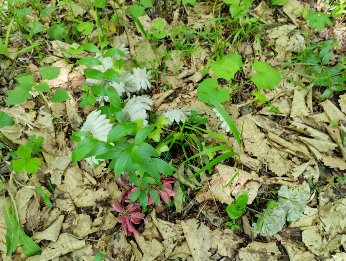 Неизвестно Неизвестно Неизвестно