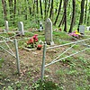 Волынцевич Раиса Ивановна