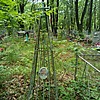 Власова Марфа Ивановна