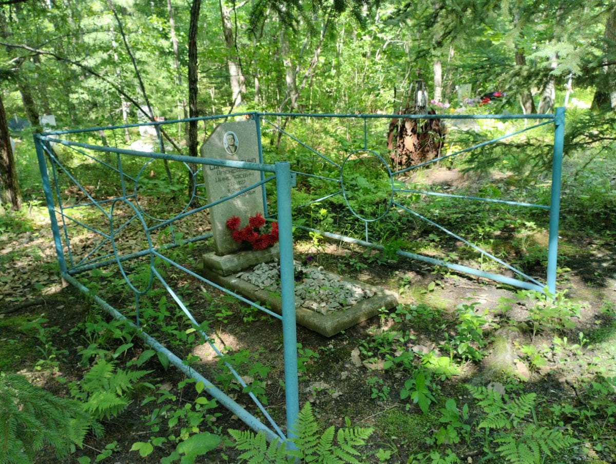6aa383e5-1f27-4457-826c-bd85466e504b Самойличенко Александр Николаевич