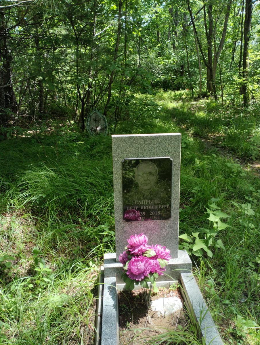 71aa0d8d-c1cf-49ee-bf87-b3a1c06dd511 Гаврыш Петр Яковлевич
