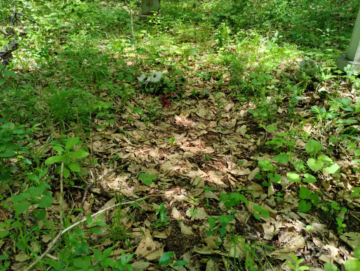 Неизвестно Неизвестно Неизвестно