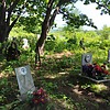 Балсуновский Степан Арсеньевич