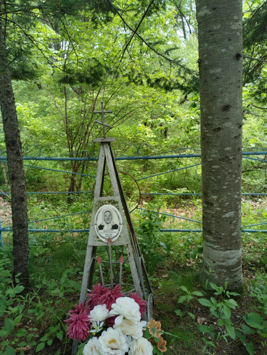 Замаенко Анастасия Трофимовна