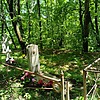 Тесленко Иван Романович